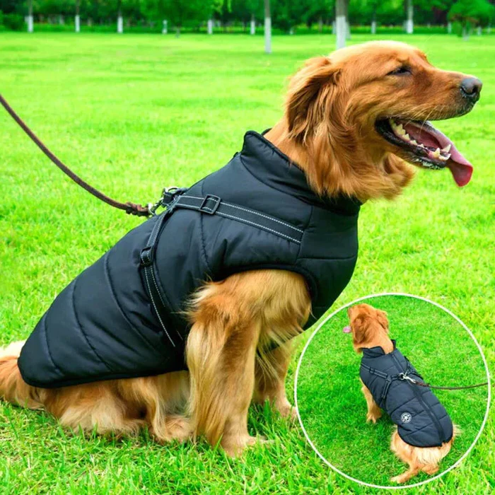 Waterproof Sherpa Lined Dog Winter Jacket with Integrated Harness